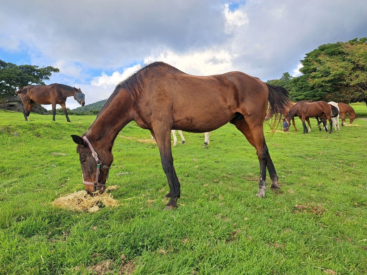 f41c88f47aac226c6956e58f7d591811-1761808665.jpg f41c88f47aac226c6956e58f7d591811-1761808665.jpg